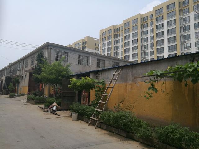 一個城中村房東的養成日志